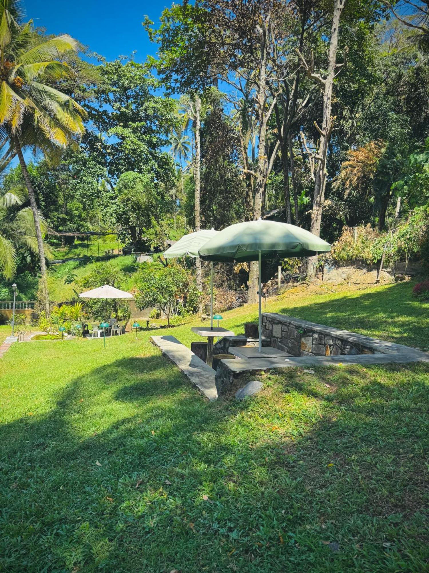 Mahaweli View Bungalow كاندي المظهر الخارجي الصورة